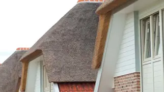 Nieuwbouw Rieten Dak Nb (1)