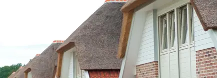 Header afbeelding Nieuwbouw Rieten Dak Nb